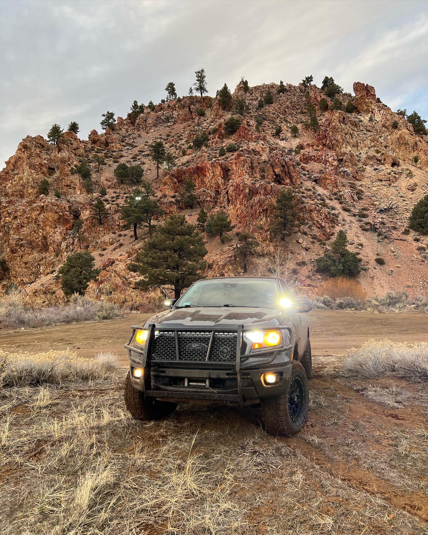 【Pre-order】COLIGHT 3 Inch DB-P Series Dual Beam Fog Lights Pods(Set/2pcs)