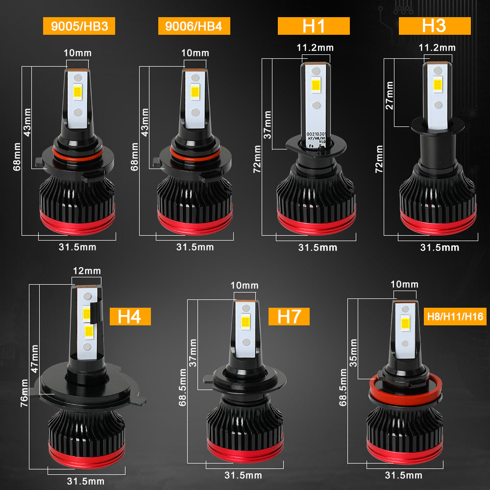 The Size Of COLIGHT M5 Series Boutique LED Replacement Headlight Bulbs